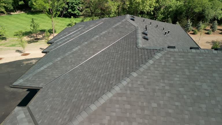 Professional Roofing Service  in Fairfax, VA